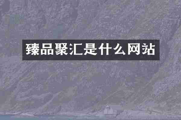 臻品聚汇是什么网站