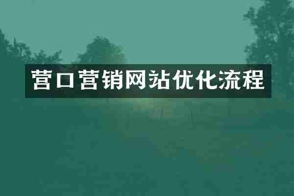 营口营销网站优化流程