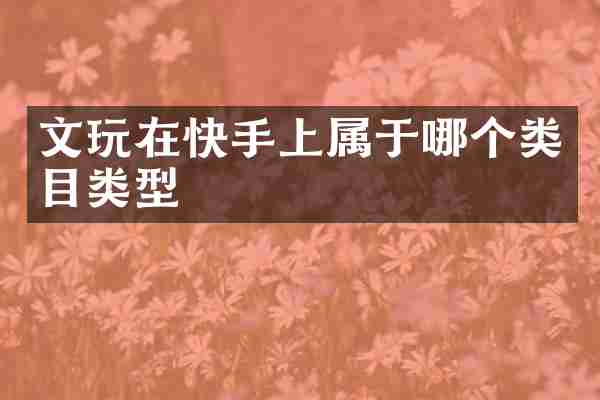 文玩在快手上属于哪个类目类型