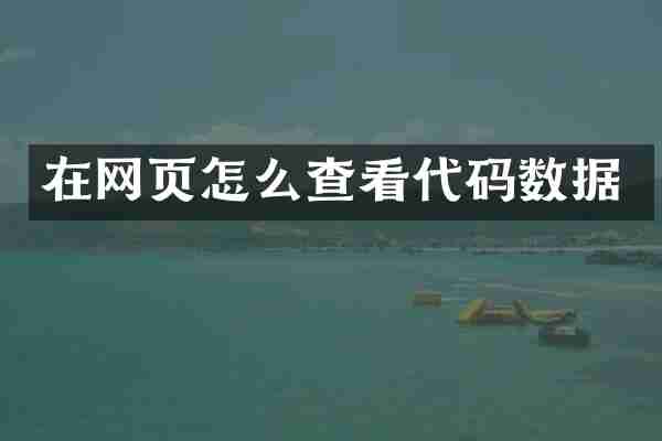 在网页怎么查看代码数据
