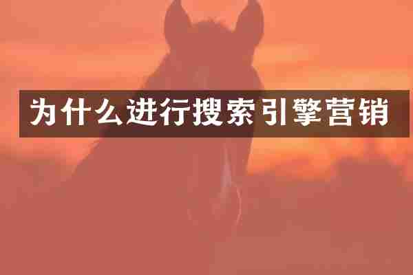 为什么进行搜索引擎营销