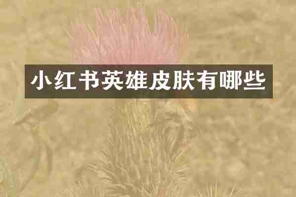 小红书英雄皮肤有哪些