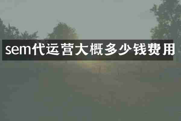 sem代运营大概多少钱费用