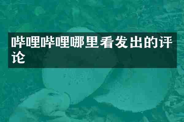 哔哩哔哩哪里看发出的评论
