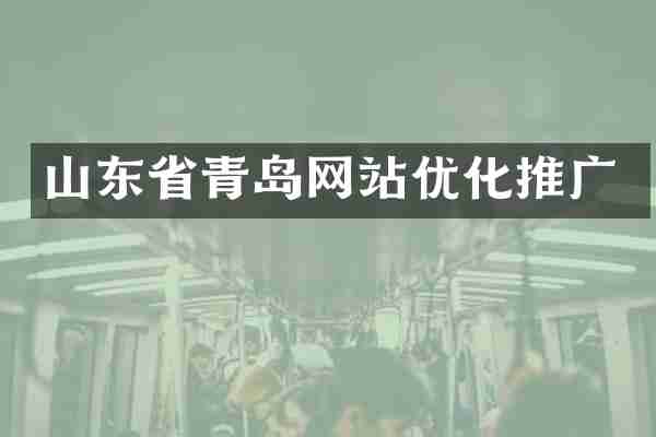 山东省青岛网站优化推广