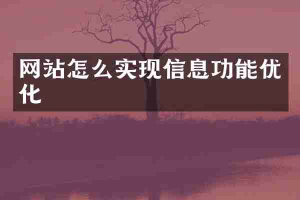 网站怎么实现信息功能优化