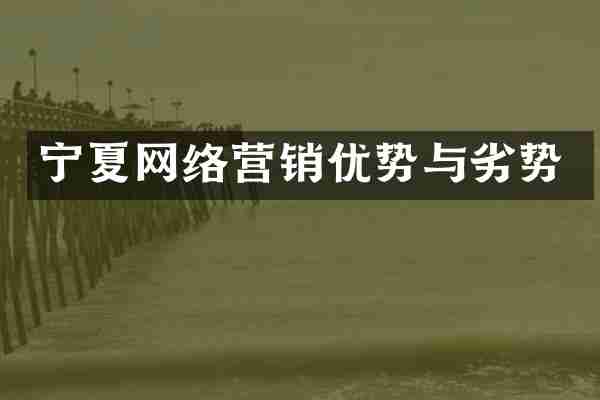 宁夏网络营销优势与劣势