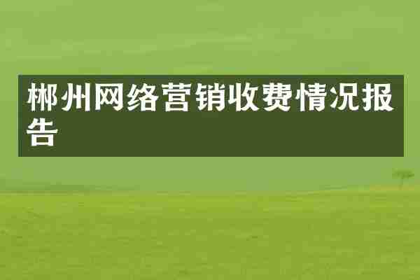 郴州网络营销收费情况报告