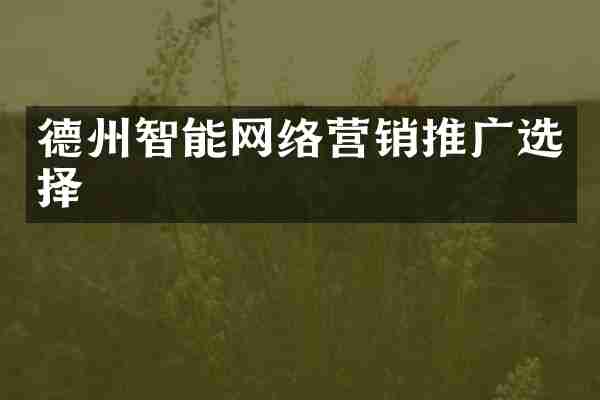 德州智能网络营销推广选择