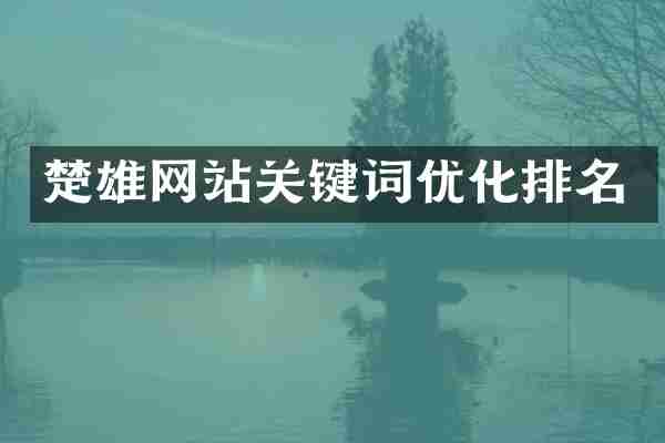 楚雄网站关键词优化排名