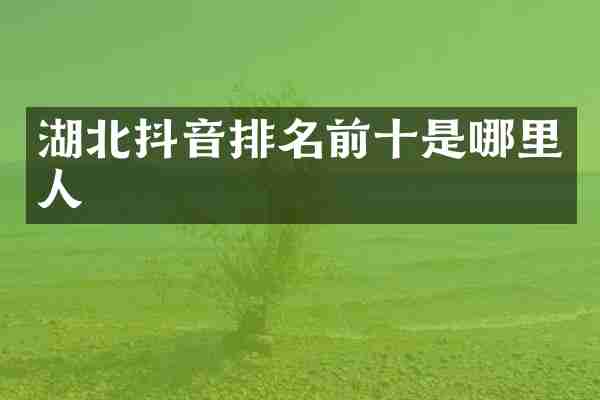 湖北抖音排名前十是哪里人
