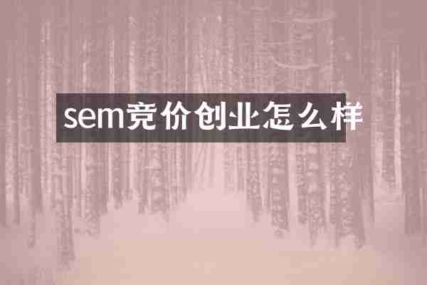 sem竞价创业怎么样