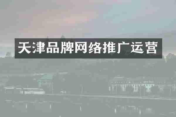 天津品牌网络推广运营