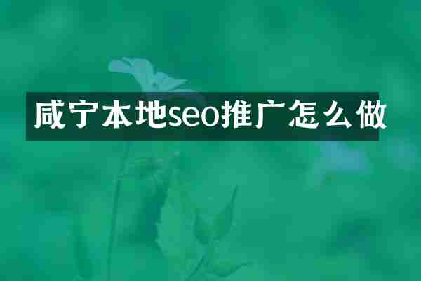 咸宁本地seo推广怎么做