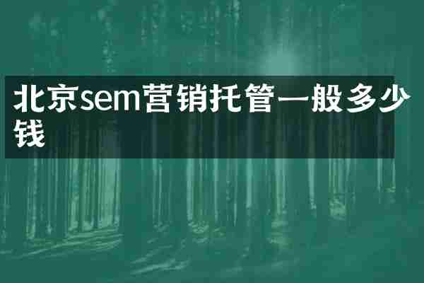 北京sem营销托管一般多少钱