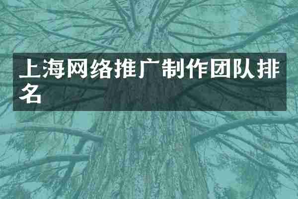 上海网络推广制作团队排名