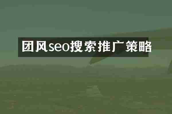 团风seo搜索推广策略