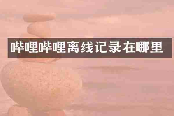 哔哩哔哩离线记录在哪里