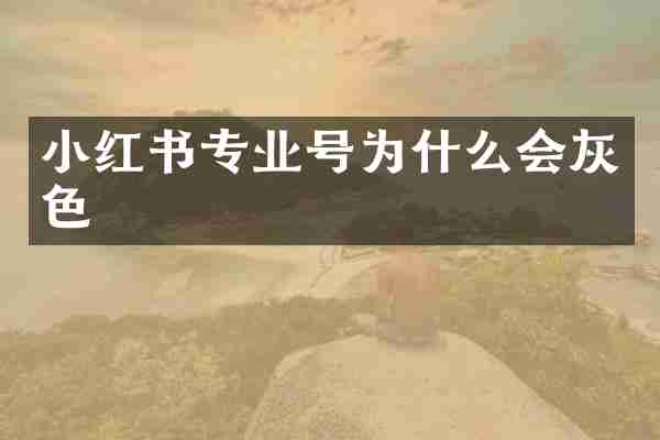 小红书专业号为什么会灰色