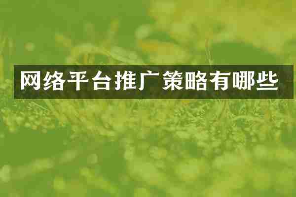网络平台推广策略有哪些