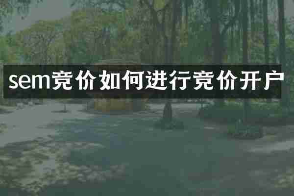 sem竞价如何进行竞价开户