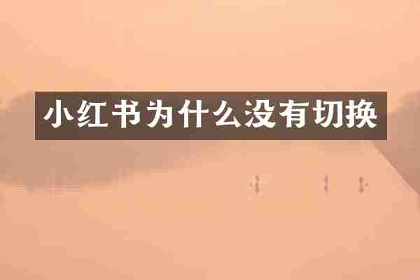 小红书为什么没有切换