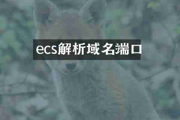 ecs解析域名端口