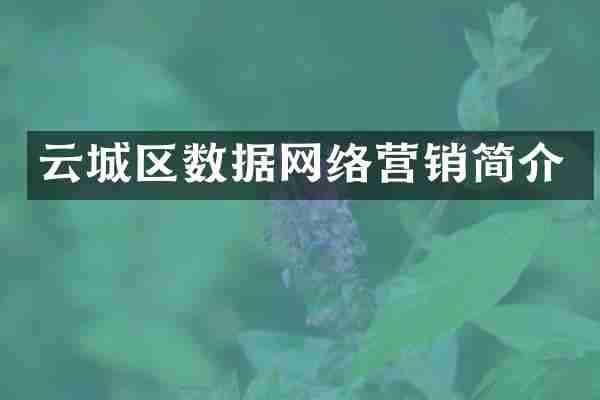 云城区数据网络营销简介