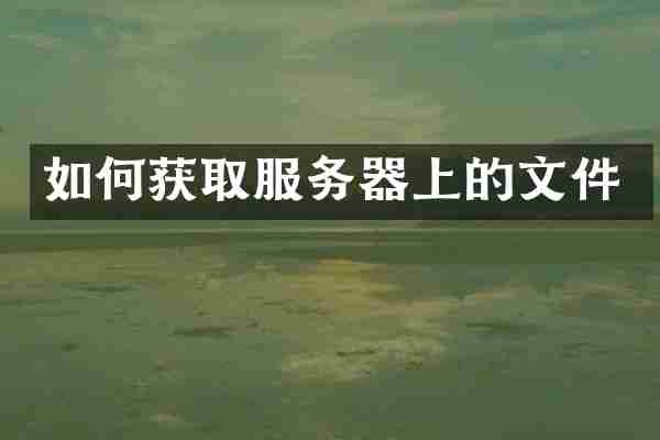 如何获取服务器上的文件