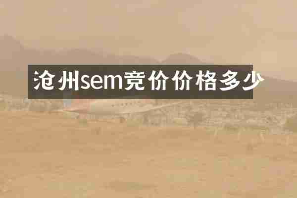 沧州sem竞价价格多少