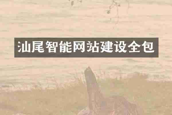 汕尾智能网站建设全包