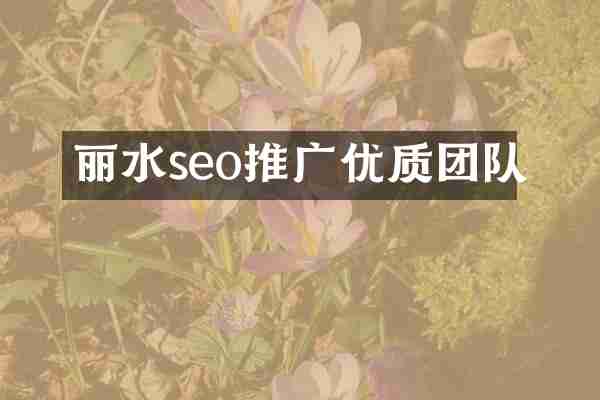 丽水seo推广优质团队