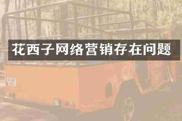 花西子网络营销存在问题