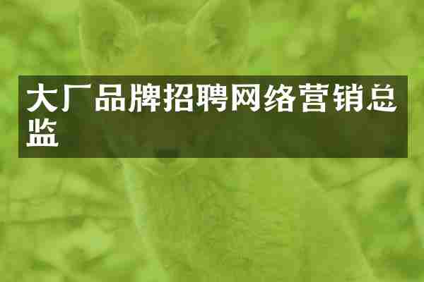 大厂品牌招聘网络营销总监