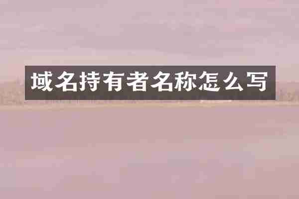 域名持有者名称怎么写