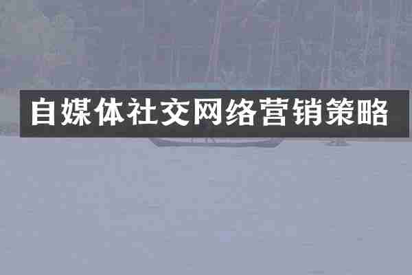 自媒体社交网络营销策略