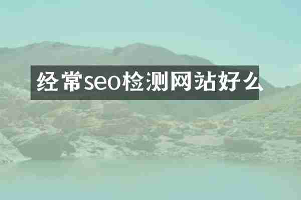 经常seo检测网站好么