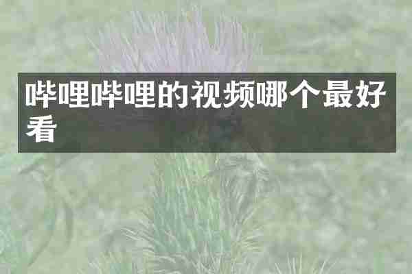 哔哩哔哩的视频哪个最好看