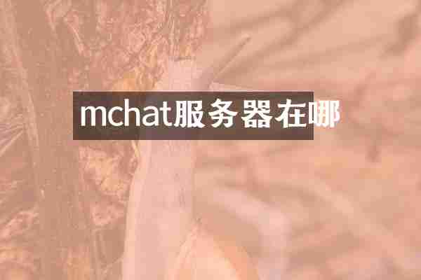 mchat服务器在哪