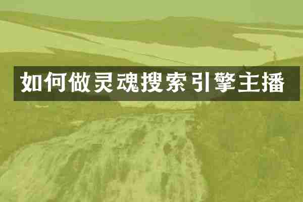 如何做灵魂搜索引擎主播