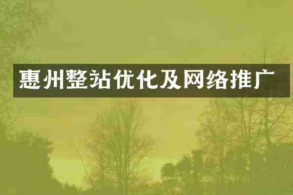 惠州整站优化及网络推广