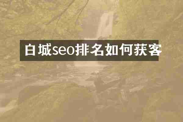 白城seo排名如何获客