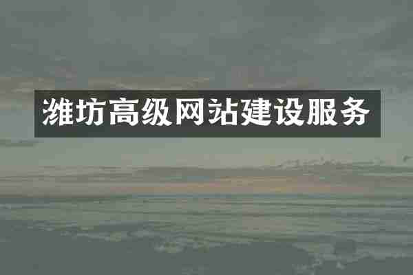 潍坊高级网站建设服务
