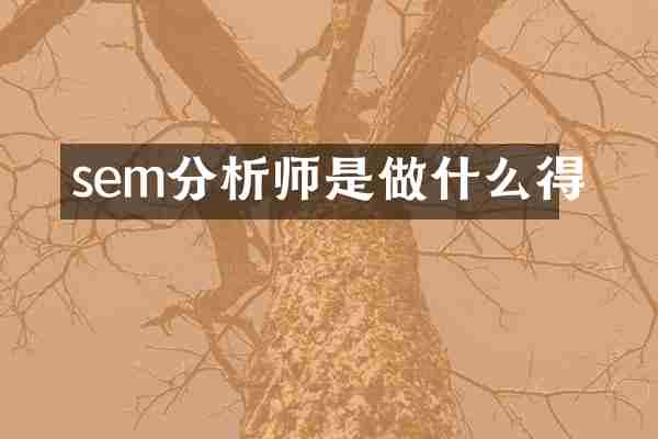sem分析师是做什么得