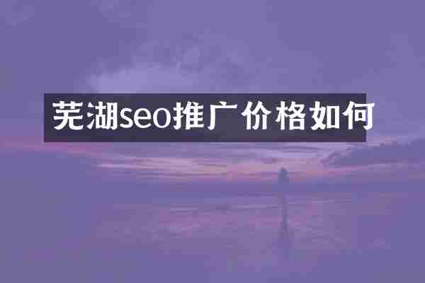 芜湖seo推广价格如何
