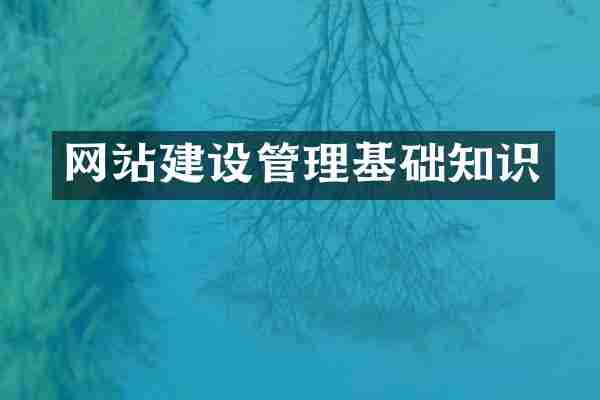 网站建设管理基础知识