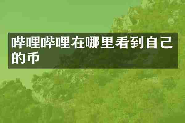 哔哩哔哩在哪里看到自己的币