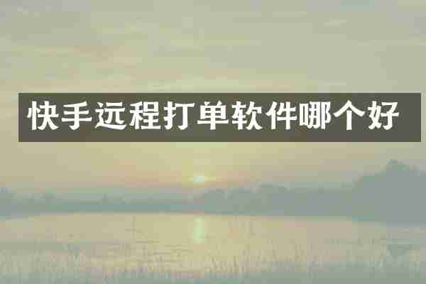 快手远程打单软件哪个好