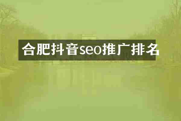 合肥抖音seo推广排名