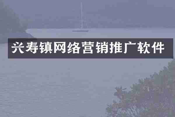 兴寿镇网络营销推广软件